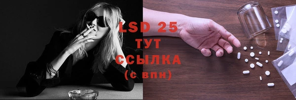 спайс Богданович