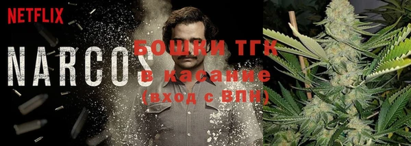меф Богородицк