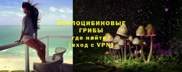 спайс Богданович