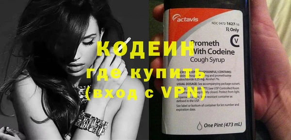прущие грибы Заводоуковск