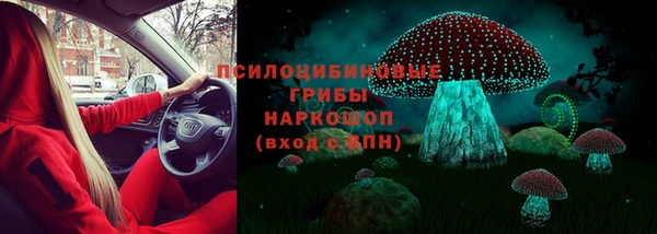тгк Белокуриха